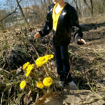 Джей и последний день Марта.