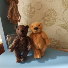 Бобёр и мишка - лучшие друзья 🚢