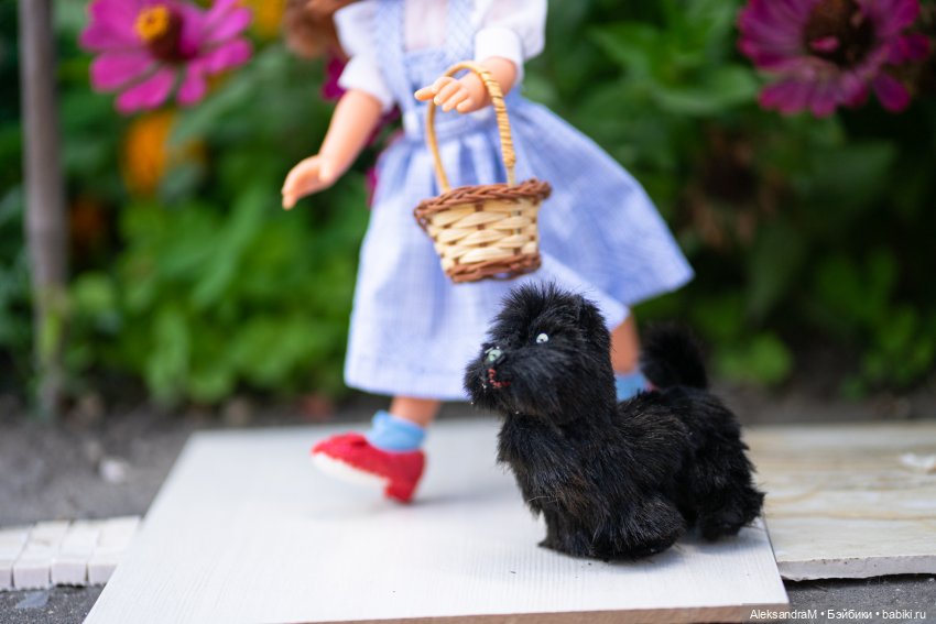 Торопится Дороти. Найдет друзей и справится с трудностями.