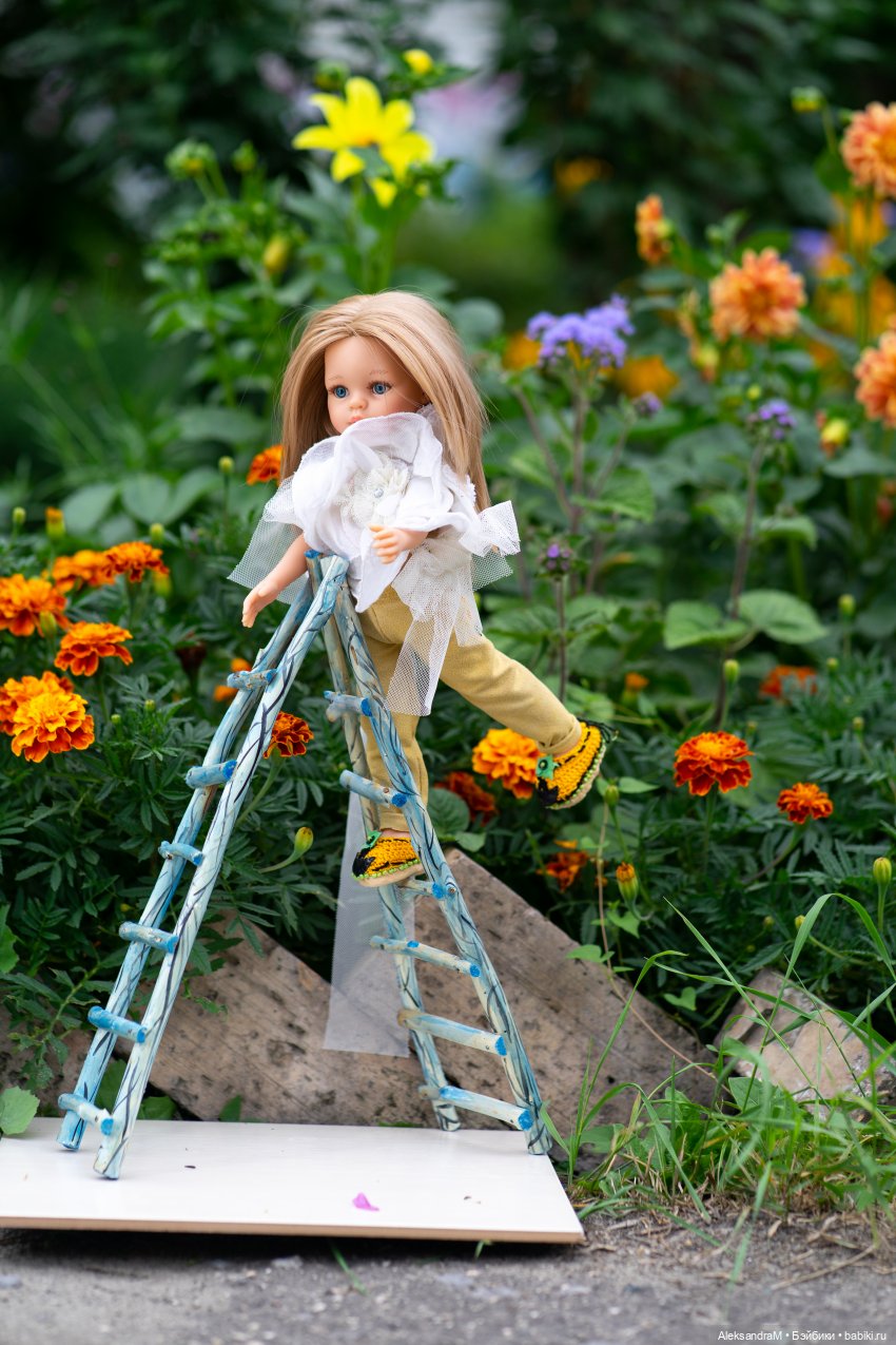 Общий план с лесенкой