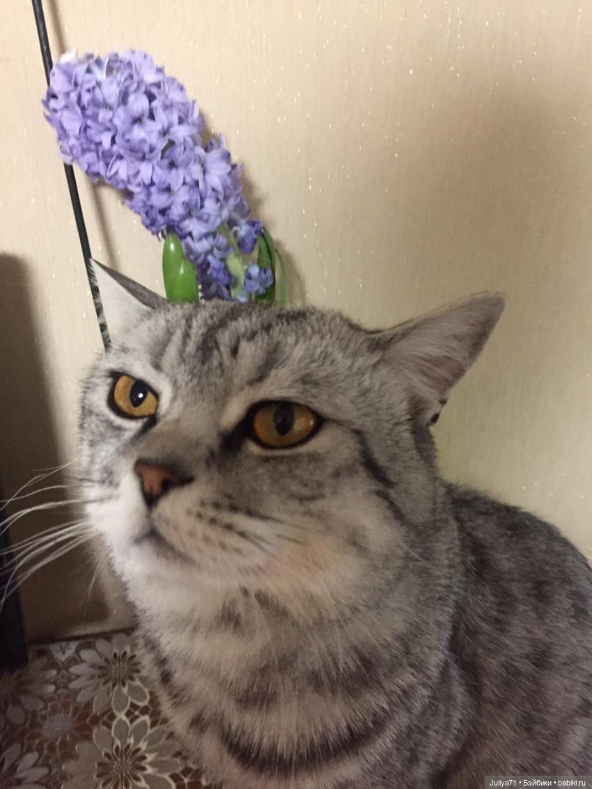 Принцесса была прекрасная... Погода стояла ужасная (фото 2)