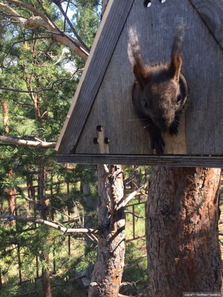 Познавая буддизм или Путешествие в Ринпоче(часть 3)