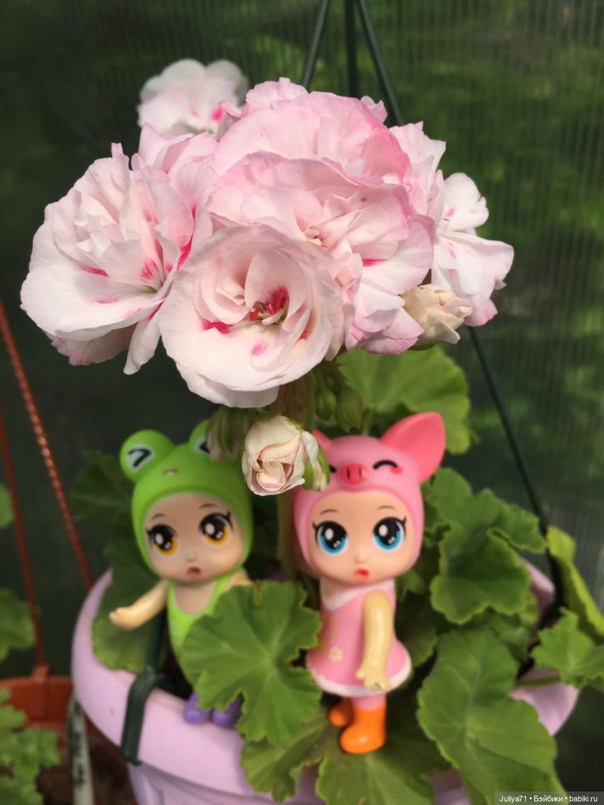 ЭнджлДолл, кукла в шаре | Бэйбики ЭнджлДолл, кукла в шаре — Интересные игрушки и фигурки (разное): редкие (фото 10)