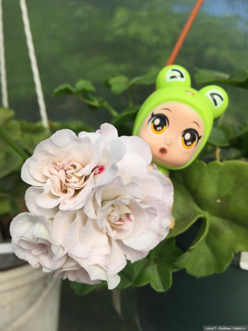 ЭнджлДолл, кукла в шаре | Бэйбики ЭнджлДолл, кукла в шаре — Интересные игрушки и фигурки (разное): редкие (фото 8)