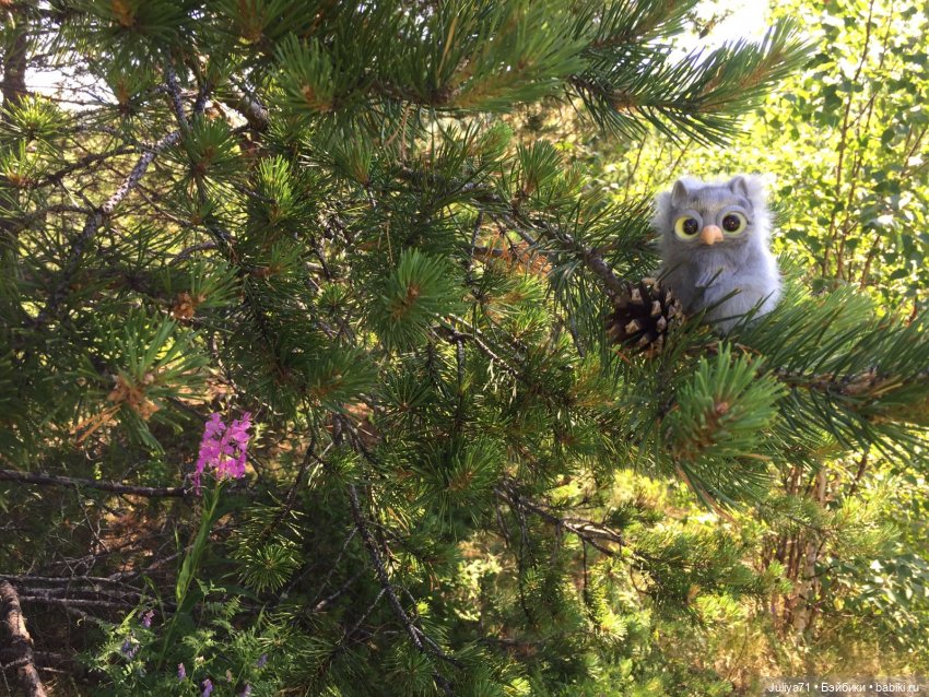 Хранители волшебного леса (фото 9)