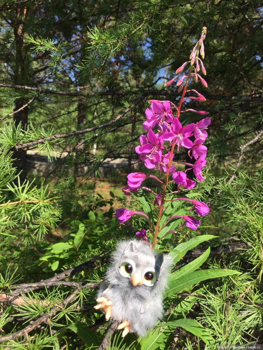 Хранители волшебного леса