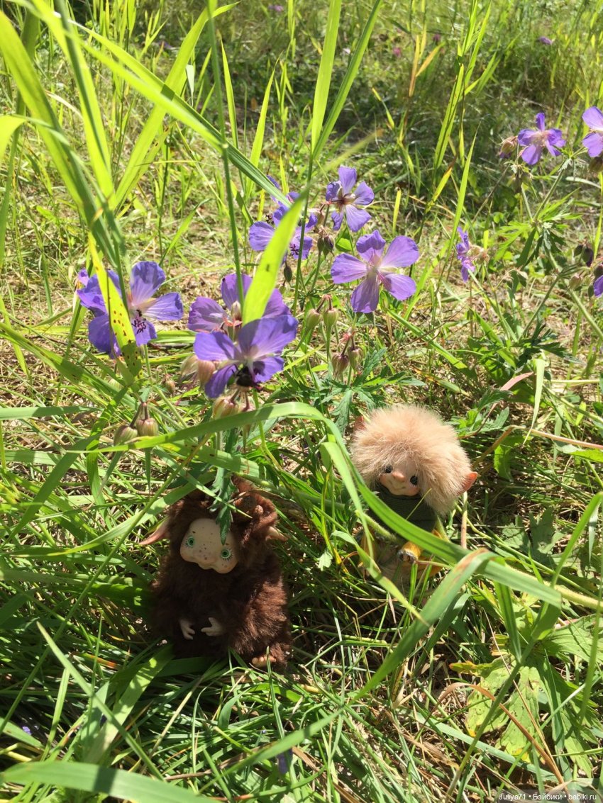 Хранители волшебного леса
