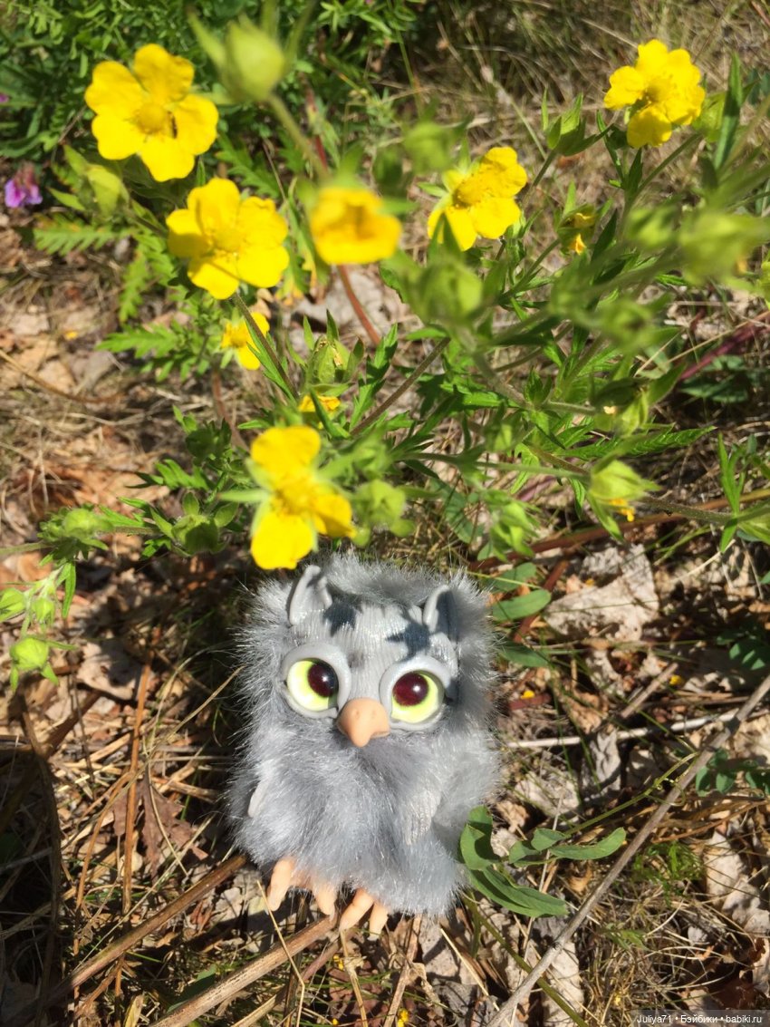 Хранители волшебного леса