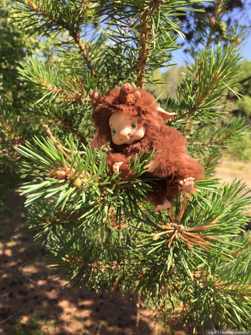 Хранители волшебного леса (фото 7)