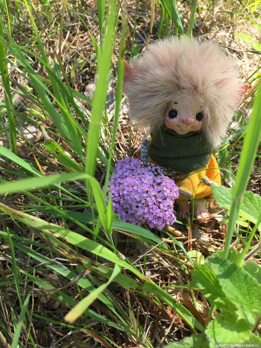 Хранители волшебного леса