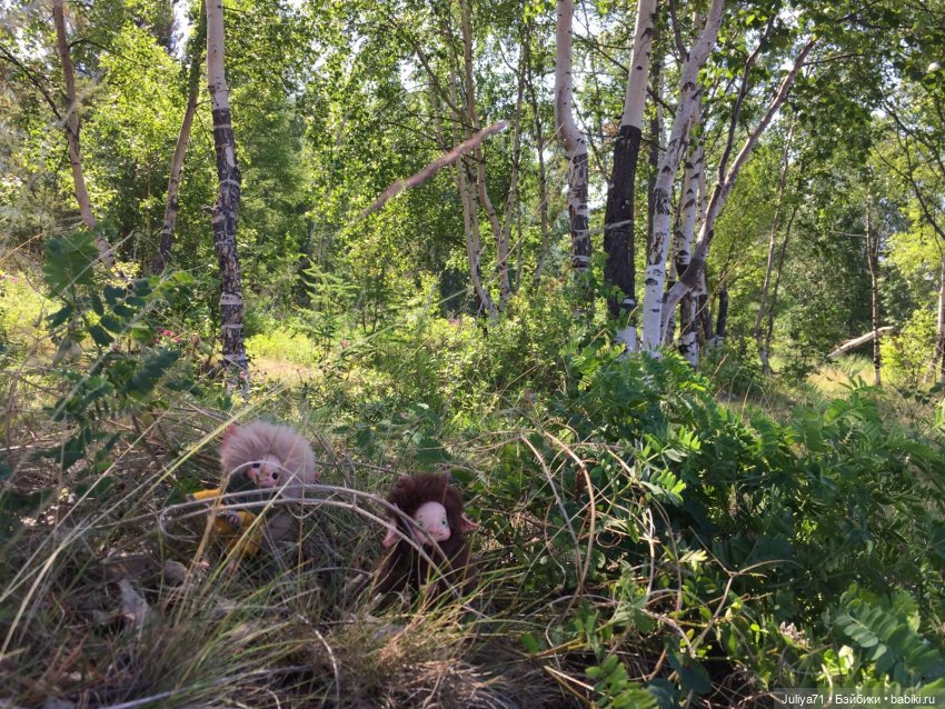 Хранители волшебного леса