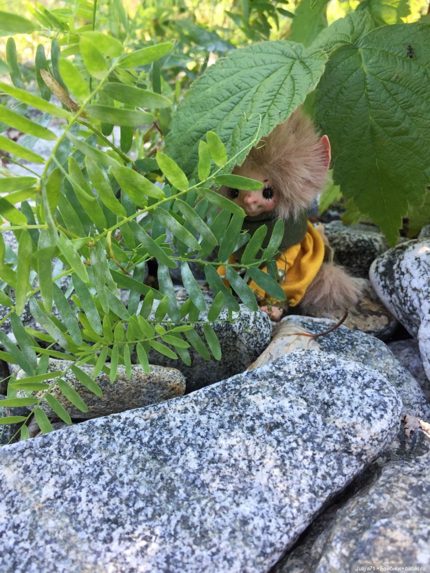 Хранители волшебного леса (фото 10)