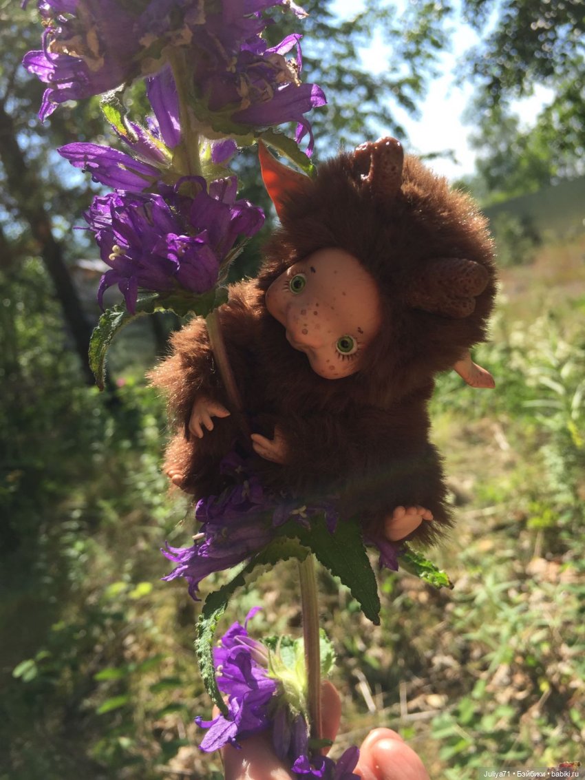 Хранители волшебного леса