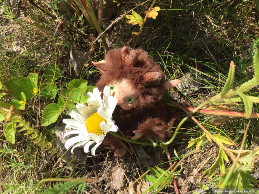 Хранители волшебного леса