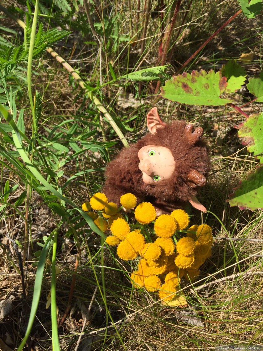 Хранители волшебного леса