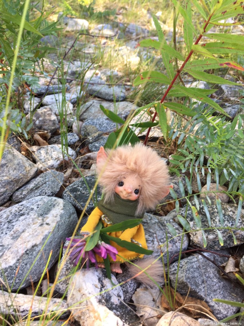 Хранители волшебного леса