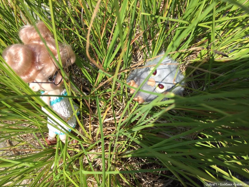 Путешествие по Байкалу Kruselings (фото 7)