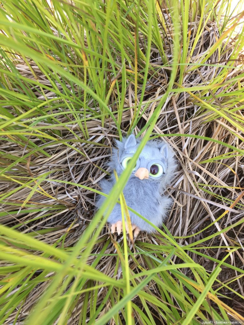 Путешествие по Байкалу Kruselings (фото 8)