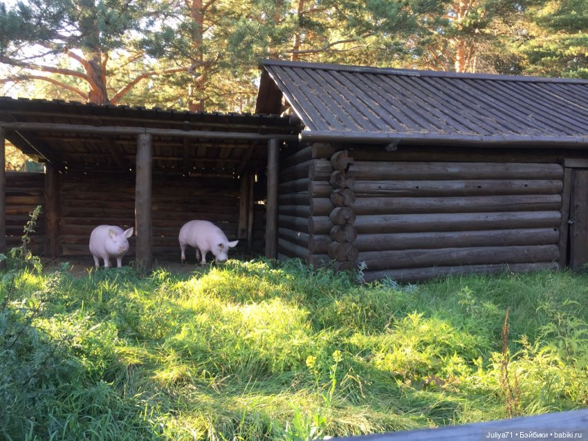Музей народов Забайкалья. Часть 1.Старообрядческий комплекс (фото 6)