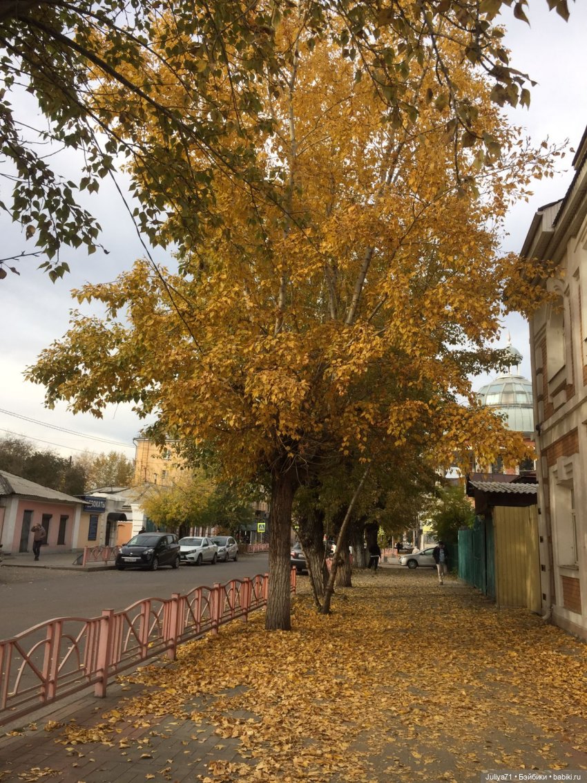 Куклы Berdine Creedy (Бердин Криди): виниловые (фото 2)