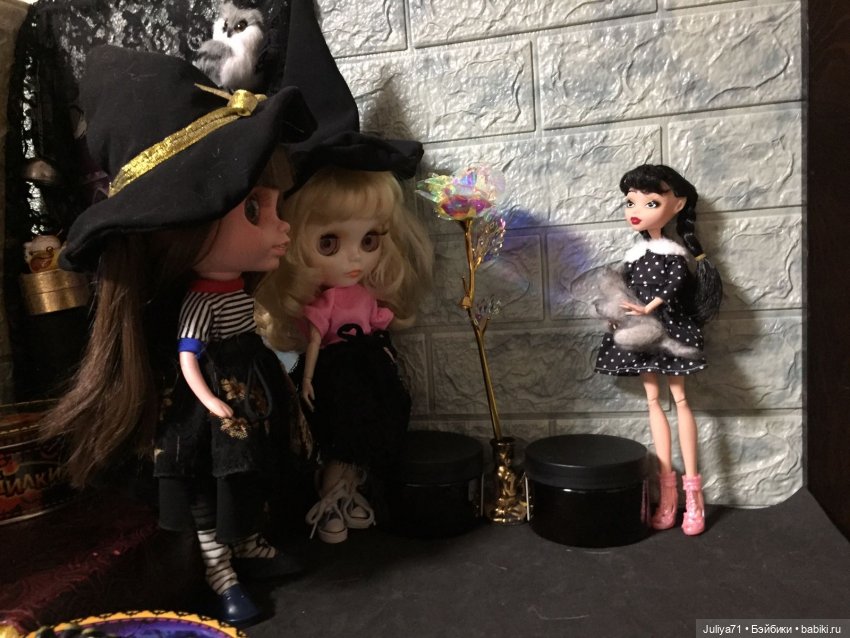 Исполнение желаний — Коллекции игровых кукол (Playline): фото полок