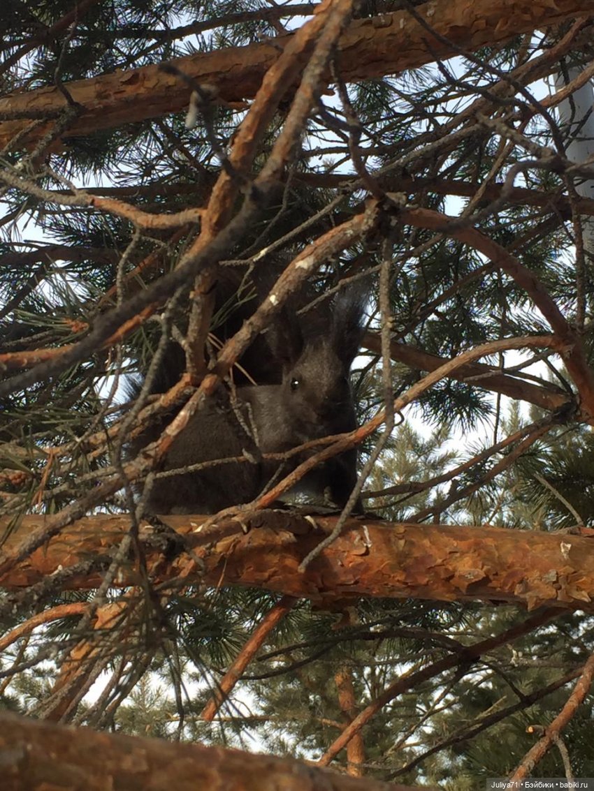 Сохраняя традиции... Сагаалган, Новый год