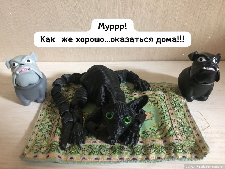 Уставший кот...или "Как хорошо очутиться дома"