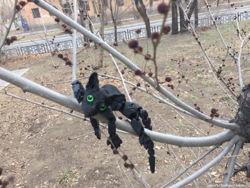 Уставший кот...или "Как хорошо очутиться дома"