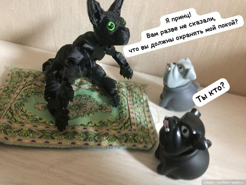 Уставший кот...или "Как хорошо очутиться дома" (фото 10)