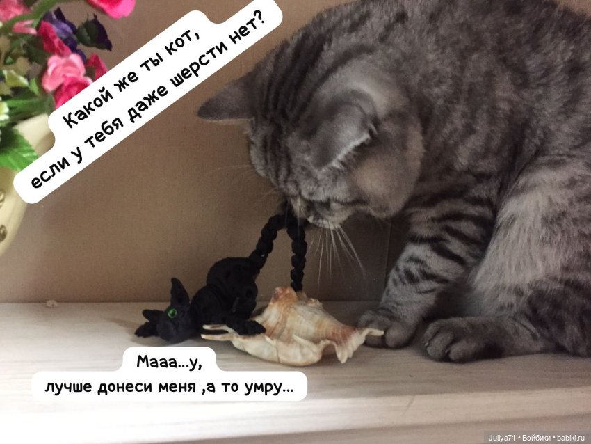 Уставший кот...или "Как хорошо очутиться дома" (фото 6)