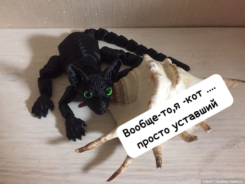 Уставший кот...или "Как хорошо очутиться дома" (фото 5)