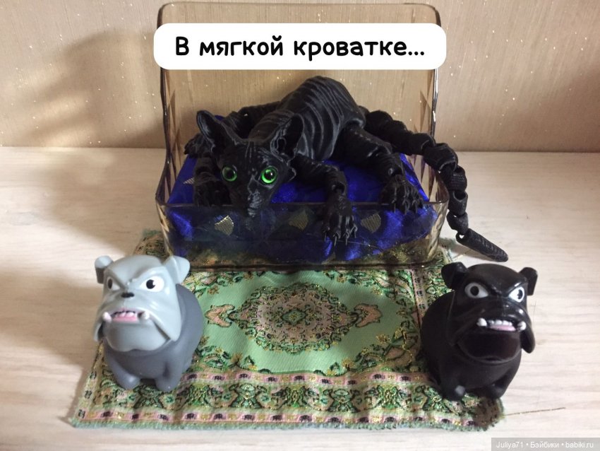 Уставший кот...или "Как хорошо очутиться дома"