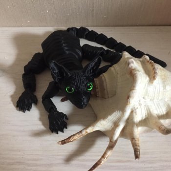 Уставший кот...или "Как хорошо очутиться дома"