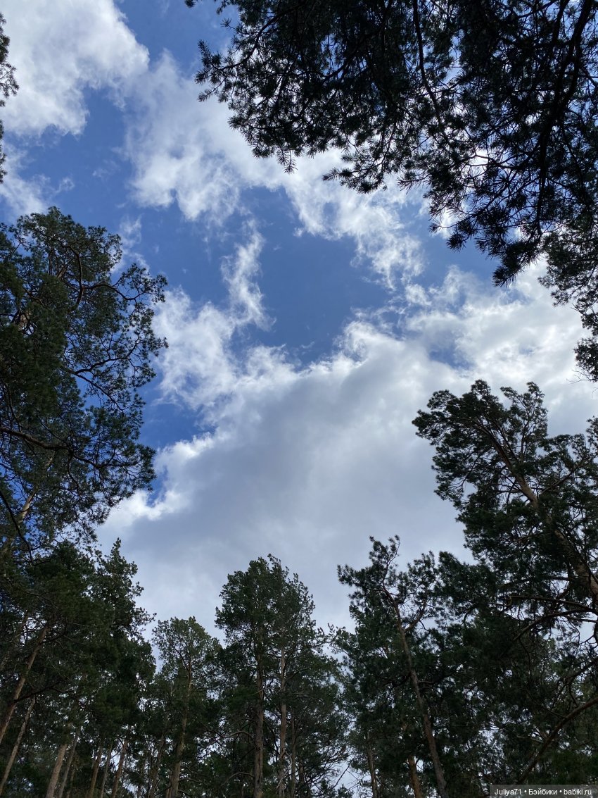 Цветёт багульник — Куклы Blythe TBL (ТБЛ) и аналоги: Блюх (фото 2)