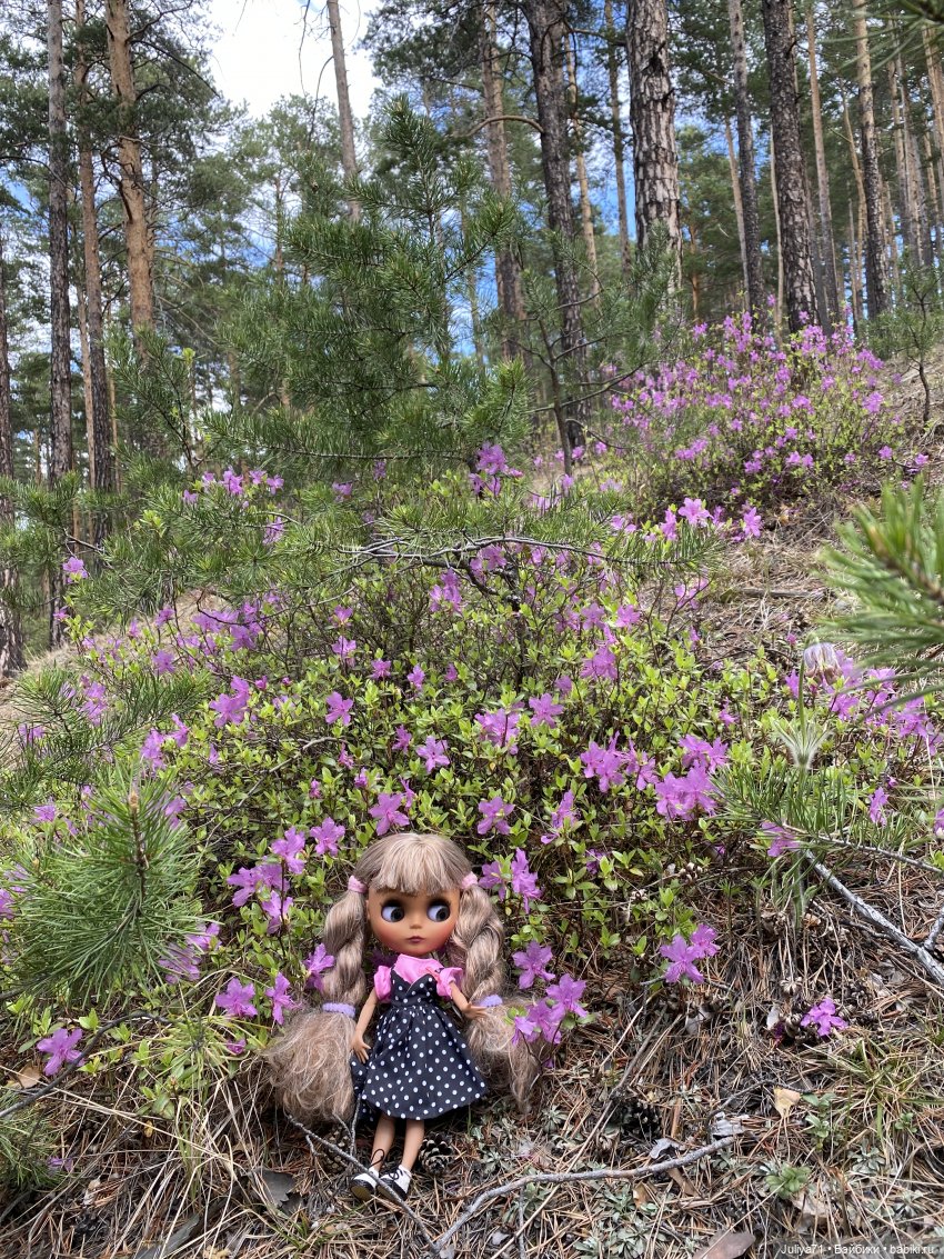 Цветёт багульник — Куклы Blythe TBL (ТБЛ) и аналоги: Блюх (фото 3)