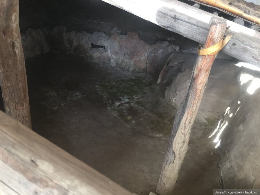 Лягушка-путешественница | Бэйбики Лягушка-путешественница — Музеи кукол и фабрики игрушек: фоторепортажи