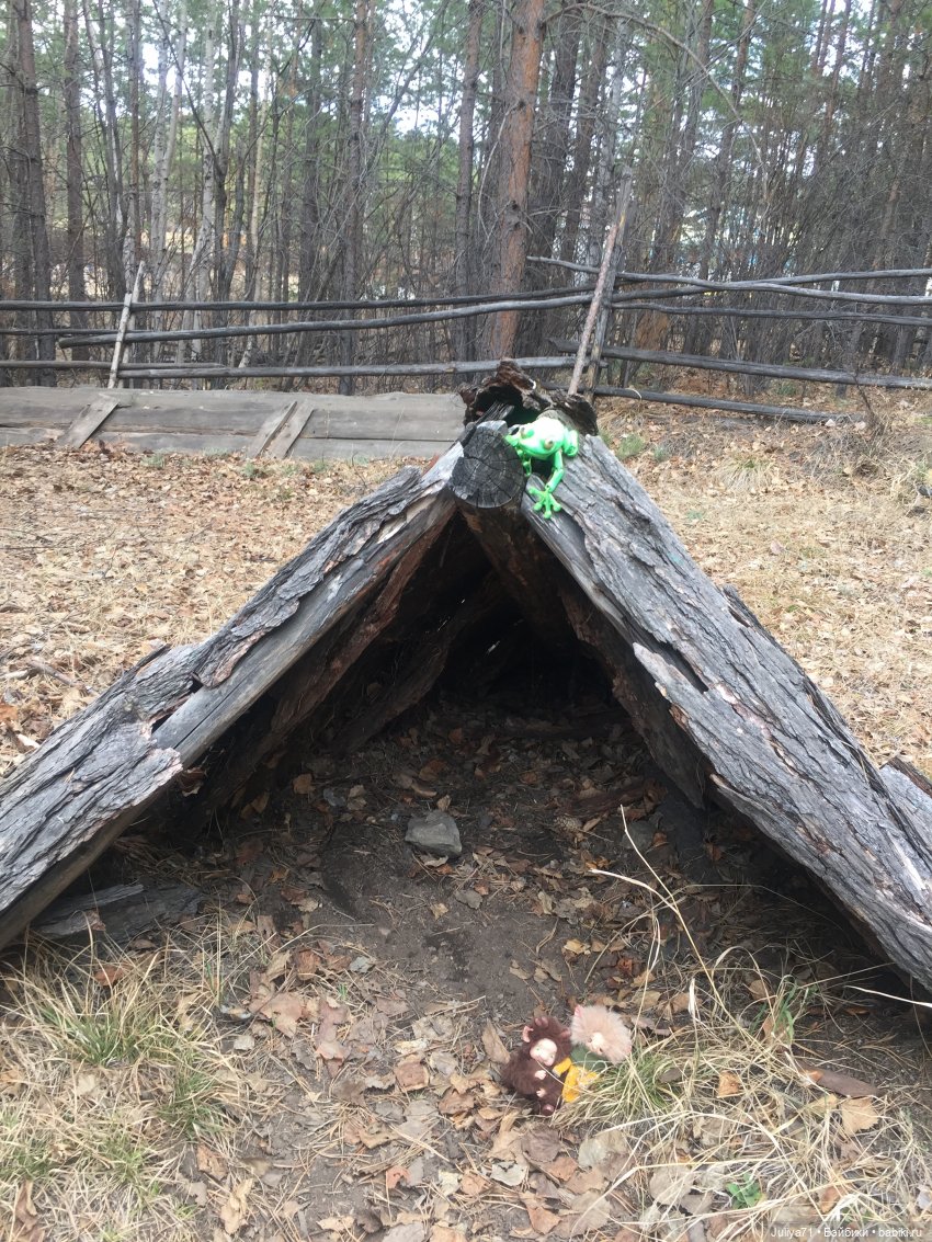 Лягушка-путешественница | Бэйбики Лягушка-путешественница — Музеи кукол и фабрики игрушек: фоторепортажи