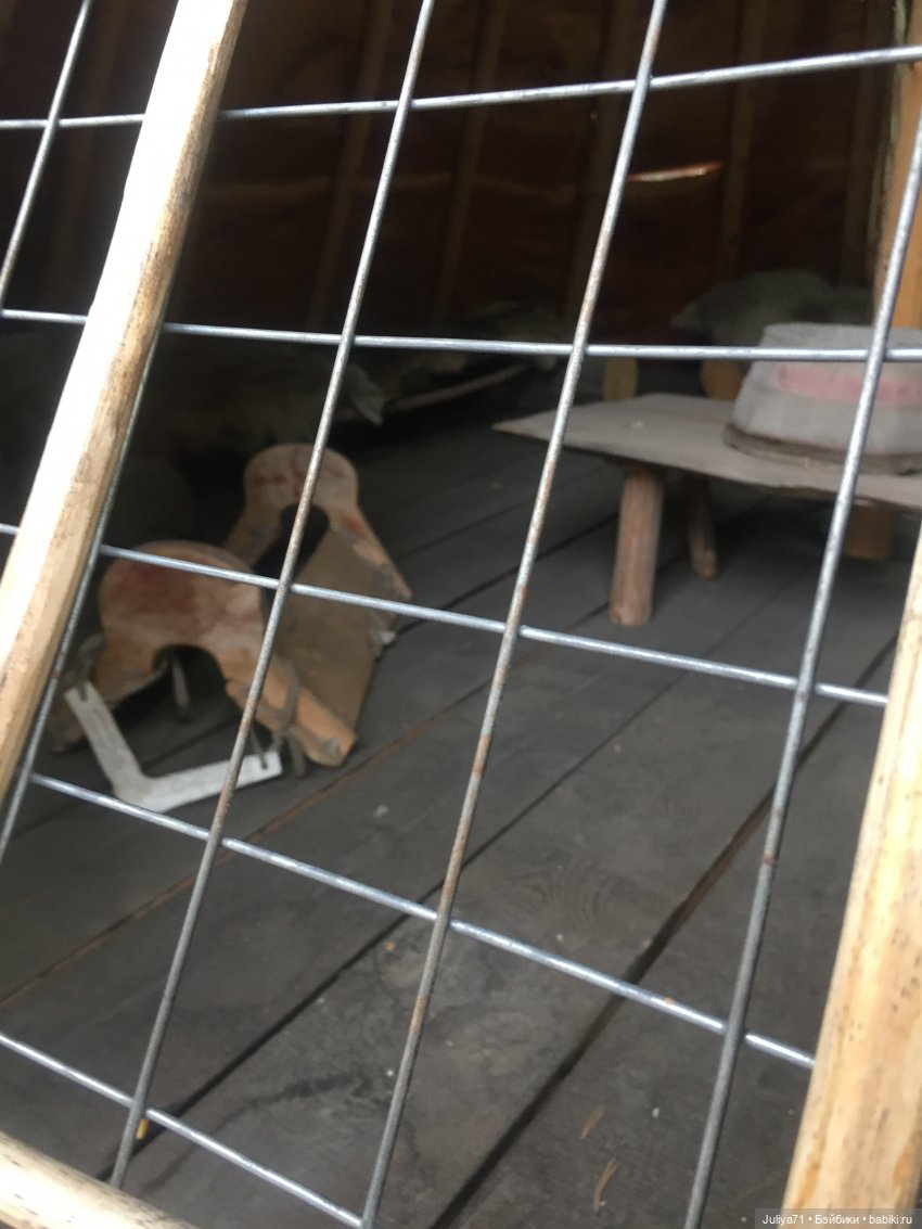 Лягушка-путешественница | Бэйбики Лягушка-путешественница — Музеи кукол и фабрики игрушек: фоторепортажи (фото 8)