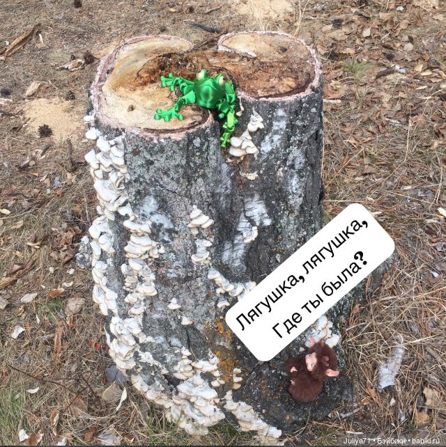 Лягушка-путешественница | Бэйбики Лягушка-путешественница — Музеи кукол и фабрики игрушек: фоторепортажи (фото 2)