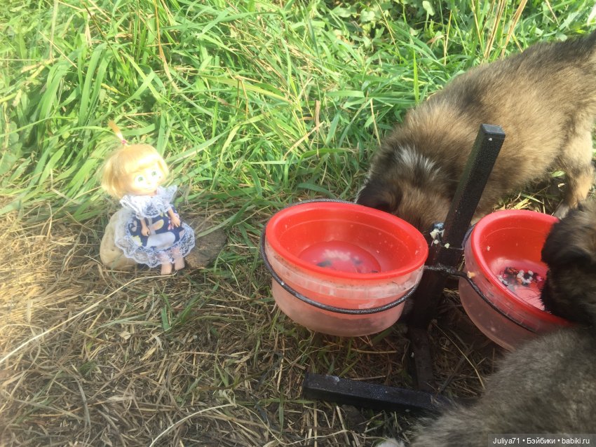 Чему учат в школе... Моим коллегам посвящается