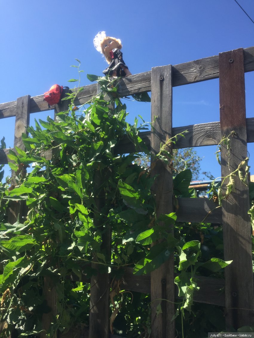 Чему учат в школе... Моим коллегам посвящается