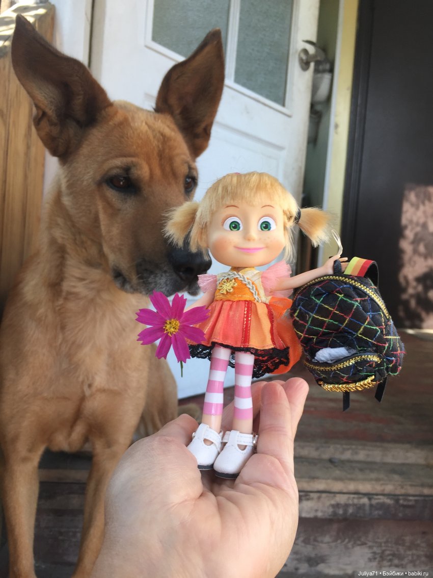 Чему учат в школе... Моим коллегам посвящается (фото 9)