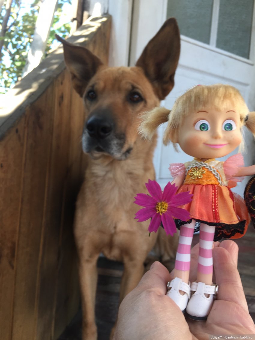 Чему учат в школе... Моим коллегам посвящается (фото 10)