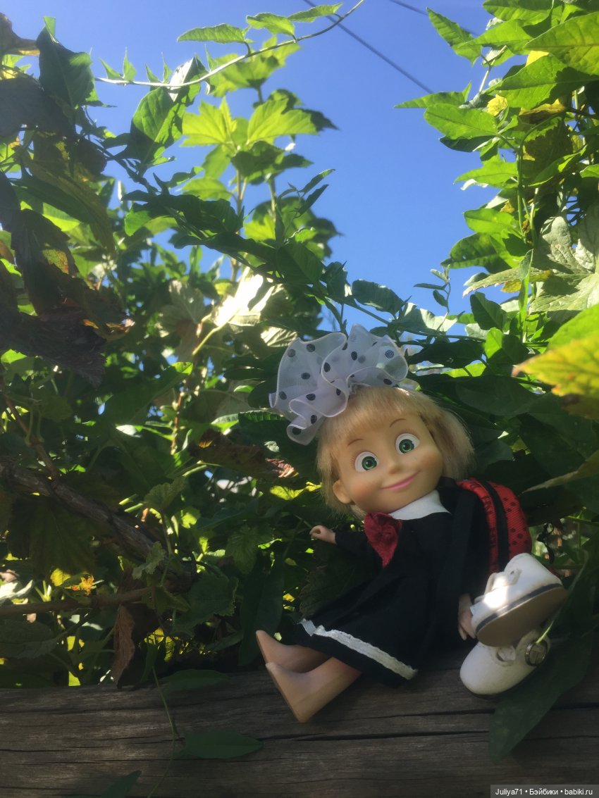 Чему учат в школе... Моим коллегам посвящается