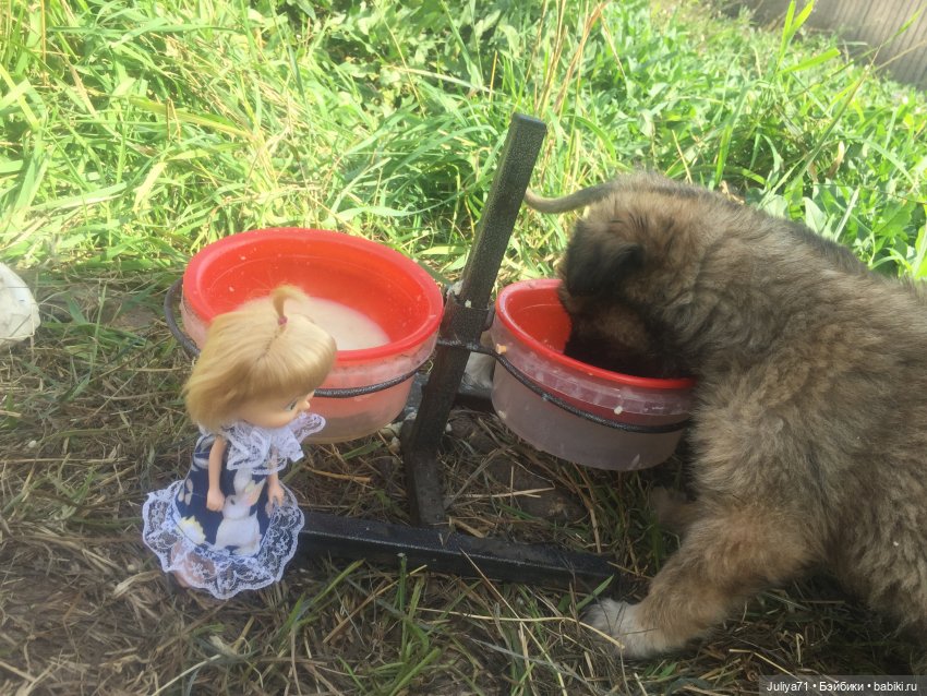 Чему учат в школе... Моим коллегам посвящается