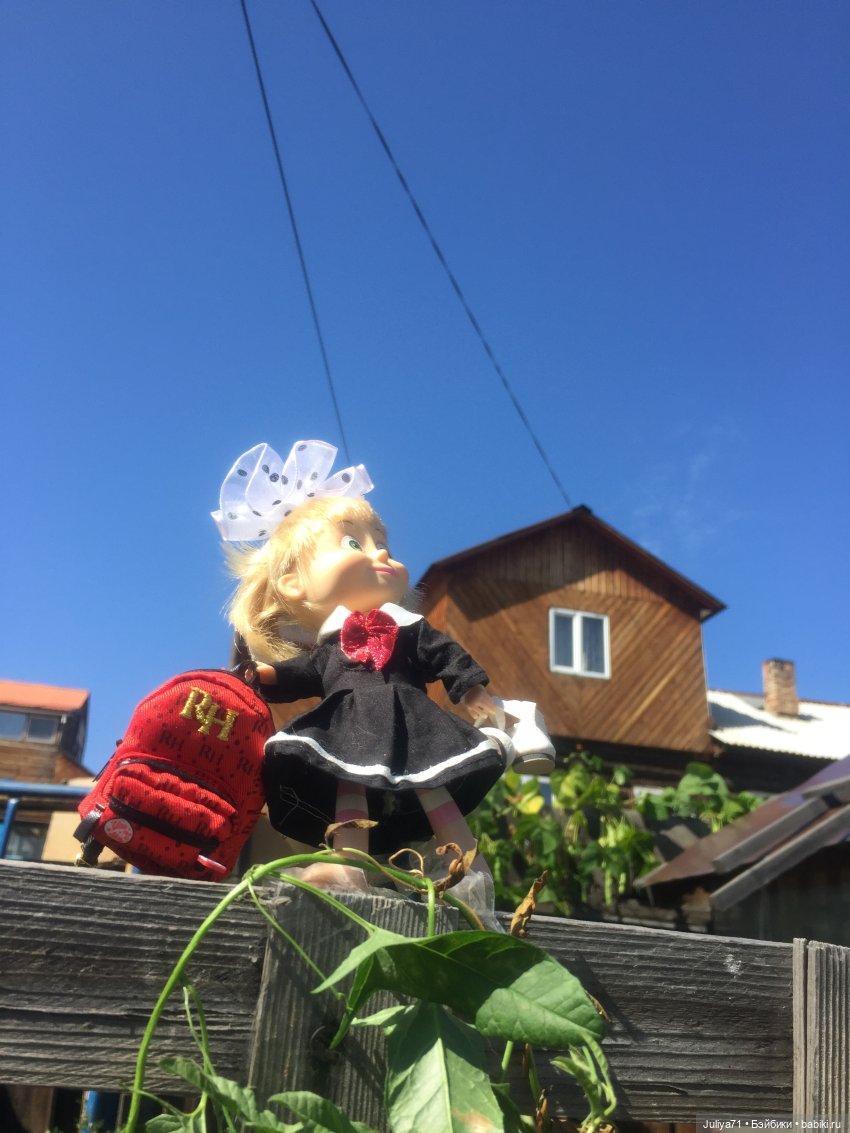 Чему учат в школе... Моим коллегам посвящается (фото 5)