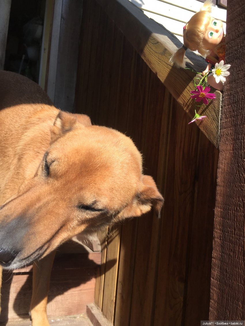 Чему учат в школе... Моим коллегам посвящается