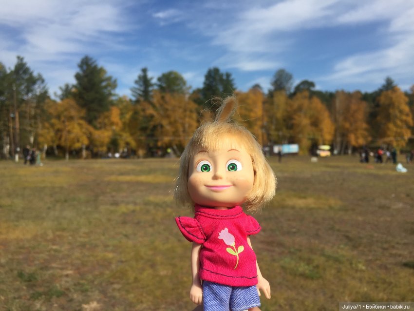 Чему учат в школе... Моим коллегам посвящается