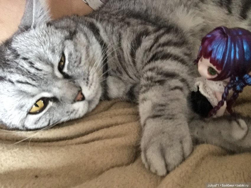 Апрельское путешествие маленькой Луны (фото 2)