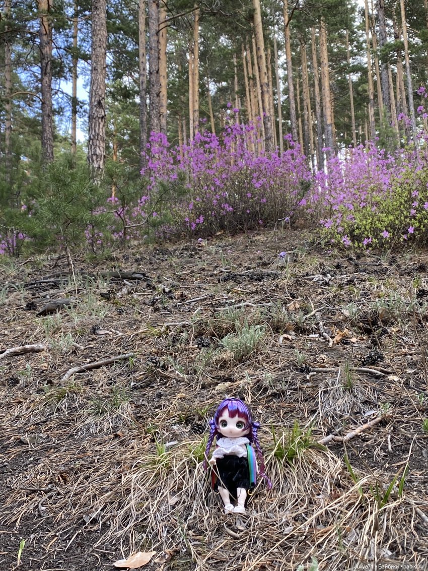 В лиловом лесу — Игровые куклы разных производителей (Разное): редкие бренды (фото 6)